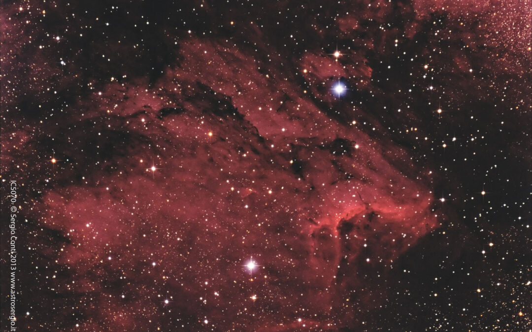 IC 5070 – Nebulosa Pelican